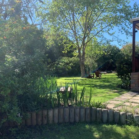Bed and Breakfast Forest Glen Knysna Exterior foto